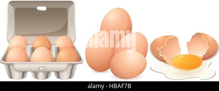 Eggs in carton box and cracked egg illustration Stock Vector