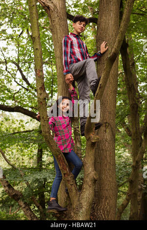 Portrait of brother and sister standing in tree Stock Photo