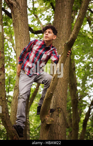 Portrait of teenage boy standing in tree Stock Photo