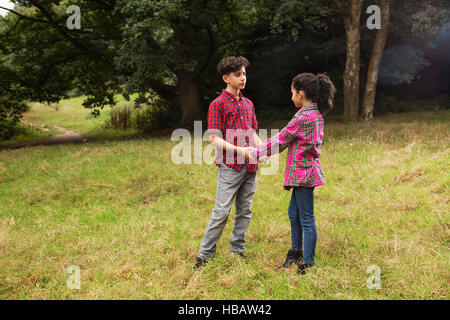 Brother and sister outdoors, holding hands Stock Photo