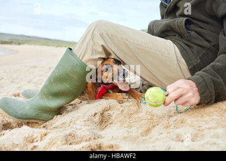 Man and pet dog sitting on beach, Constantine Bay, Cornwall, UK Stock Photo