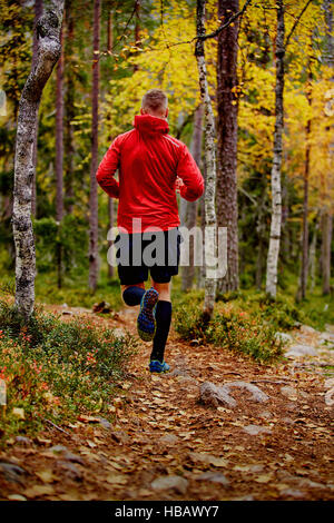 Man running in forest, Kesankitunturi, Lapland, Finland Stock Photo