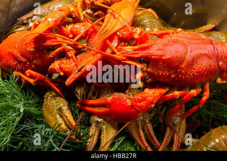 Crayfish isolated on white Stock Photo