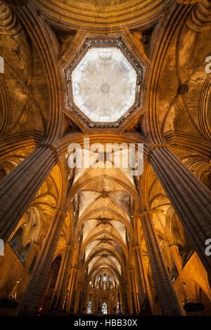 Barcelona Cathedral interior, Gothic rib vault and dome, Catalonia, Spain, Europe Stock Photo