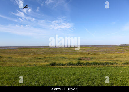 Wangerooge Stock Photo