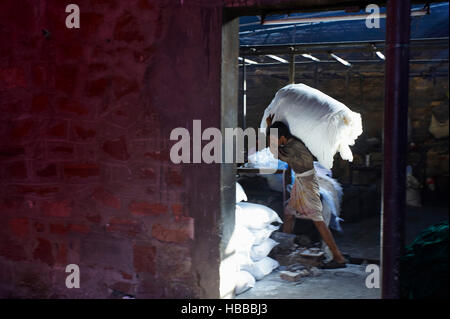 Inde, Rajasthan, Usine de Sari, manutention des balles de tissu. // India, Rajasthan, Sari Factory, transport of the textiles. Stock Photo