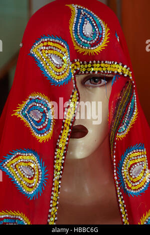 Inde, Rajasthan, Jaipur, boutique de Sari. // India, Rajasthan, Jaipur, Sari and textile shop. Stock Photo