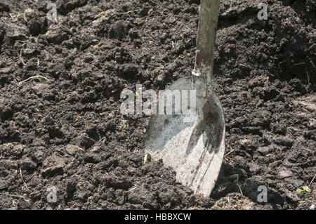 Shovel stuck in manure in farm yard Stock Photo