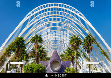 Plants in the Umbracle, a landscaped walk at he City of Arts and Sciences - Valencia, Spain Stock Photo