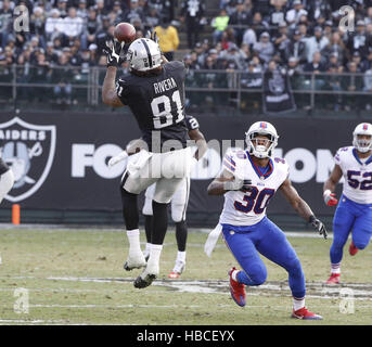 Oakland Raiders WR Mychal Rivera #81 in action, during pre game against the  Arizona Cardinals at the O.co Coliseum during an NFL game in Oakland,  Calif. on Sunday, Oct. 29, 2014. (AP