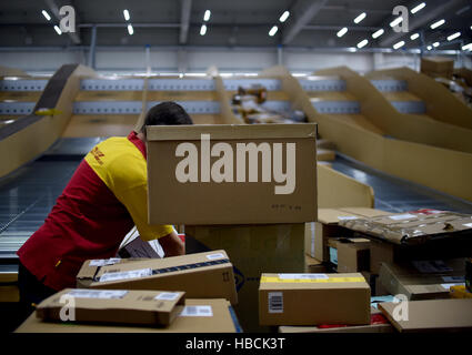 A DHL worker scans the labels on packages in Berlin, Germany, 06 December 2016. The German company's busy Christmas period is already in full swing. Photo: Britta Pedersen/dpa-Zentralbild/dpa Stock Photo