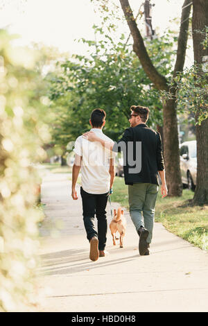 Rear view of young male couple walking dog on suburban sidewalk