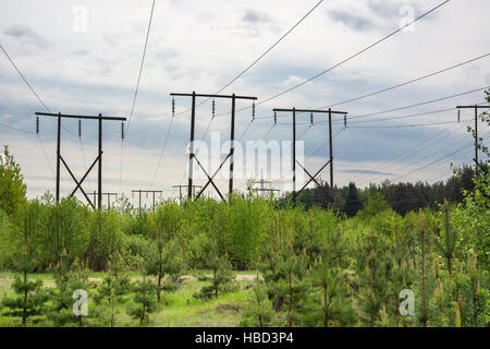 Timber supports high-voltage line Stock Photo