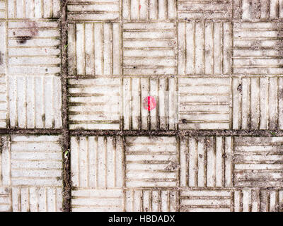 The cement texture and background and berry. Stock Photo