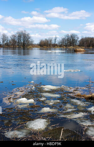End of the ice drift on the river Stock Photo