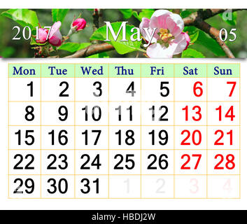 calendar for May 2017 with pink buds of blooming apple tree Stock Photo