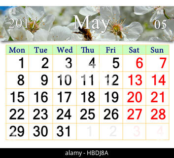 calendar for May 2017 with white blooming cherry tree Stock Photo