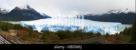 Argentina, Los Glaciares National Park: panoramic view of the mountains, the red flowers and the ice cap of the famous Perito Moreno Glacier Stock Photo