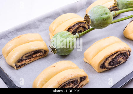 Raw Quick Poppy Seed Rolls Stock Photo