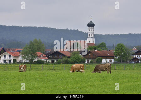 Raisting Stock Photo