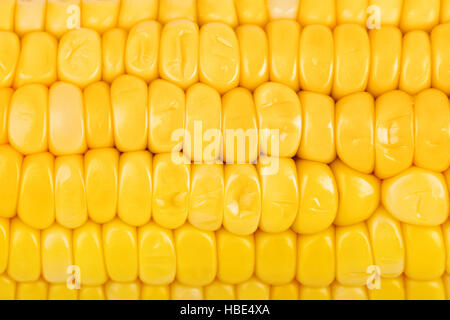 Corn macro Stock Photo