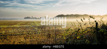 Rushmere St Andrew.  England UK.  Mist lingering over a farm field on a frosty morning creates an atmospheric landscape.  The clearing skies add to the drama.  A view looking through the wire fence in the foreground and a row of trees and hedges faintly form the distant view beyond the rising mist.