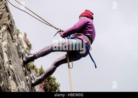 Female rock climber abseiling down with safety rope on a rockface seen from below. North Wales, UK, Britain Stock Photo