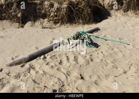 Driftwood and rope washed up on the beach Stock Photo