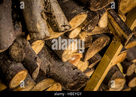 Logs in garden store for winter burning on stove Stock Photo