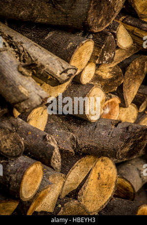 Logs in garden store for winter burning on stove Stock Photo