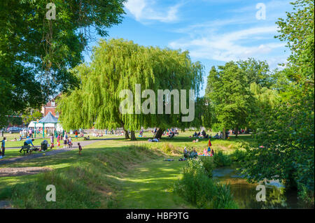 Gostrey Meadows Farnham Surrey and the river Wey Stock Photo