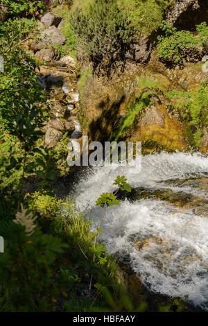 Mountain stream with a waterfall - Austria