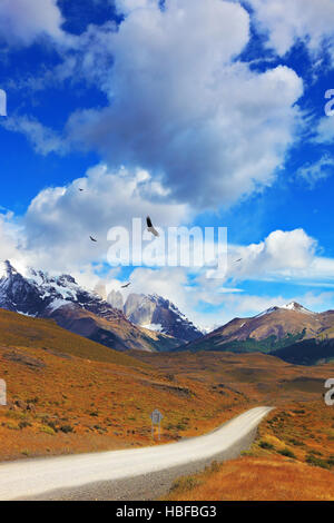 Andean condors fly over the lake Stock Photo