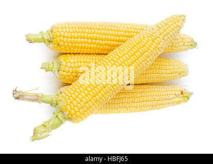 Ripe raw corns on the cob isolated on white background. Corn ears. Stock Photo