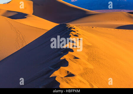 Sandy Desert Stock Photo