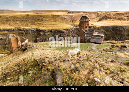 View of Saint Gregory of Tigran Honents in Ani. Ani is a ruined medieval Armenian city situated in Kars, Turkey. Stock Photo