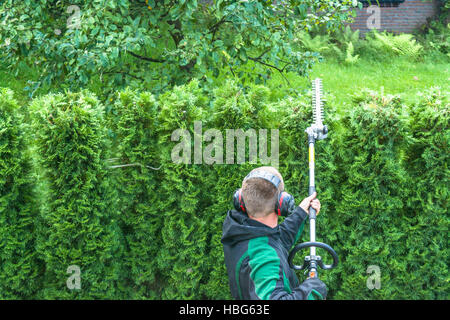 Cutting a hedge Stock Photo