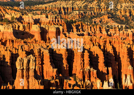 This is a close-up view of the Bryce Amphitheater as seen from Inspiration Point in Bryce Canyon National Park, Utah, USA. Stock Photo