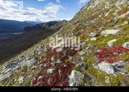 Rapa valley in sarek national park Stock Photo: 84200697 - Alamy