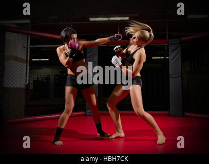 Two wrestler women in sports hall Stock Photo