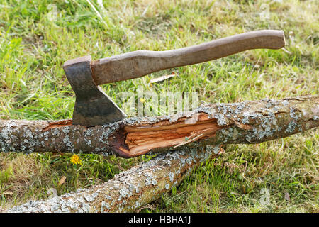 ax and branches of old trees on the grass Stock Photo