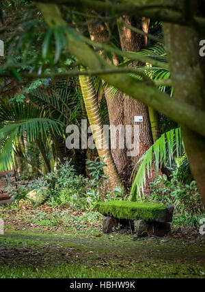 Moss covered bench in a park Stock Photo