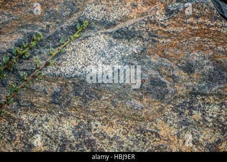 Rough stone texture Stock Photo