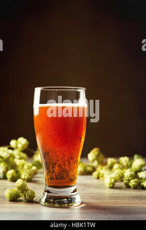 Glass of beer with hops in the background - plenty of copy space for text Stock Photo