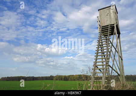 perch, hunting device, Stock Photo