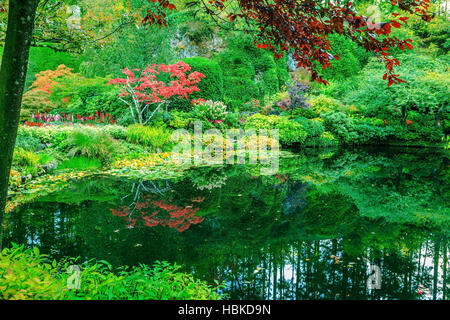 In small pond reflected trees Stock Photo