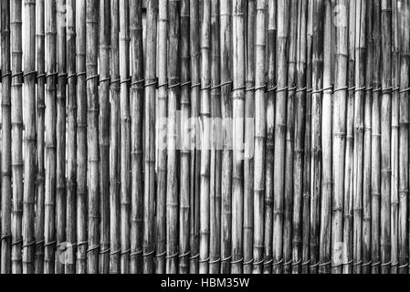 textured a curtain or a screen from a dry reed or straw for an abstract background and for wallpaper of gray color Stock Photo