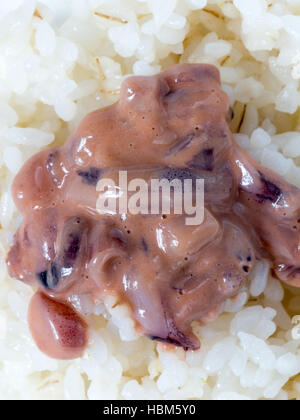 Japanese cuisine, salted squid guts called Ika No Shiokara in Japanese on the rice Stock Photo