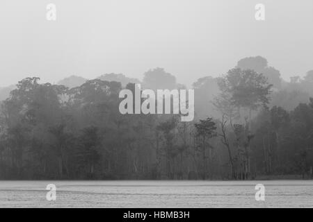 Rain in tropical forest on the Amazon river, Brazil Stock Photo