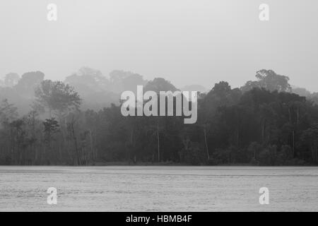 Rain in tropical forest on the Amazon river, Brazil Stock Photo